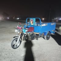 ستوت • وراق • ٢٠١٩