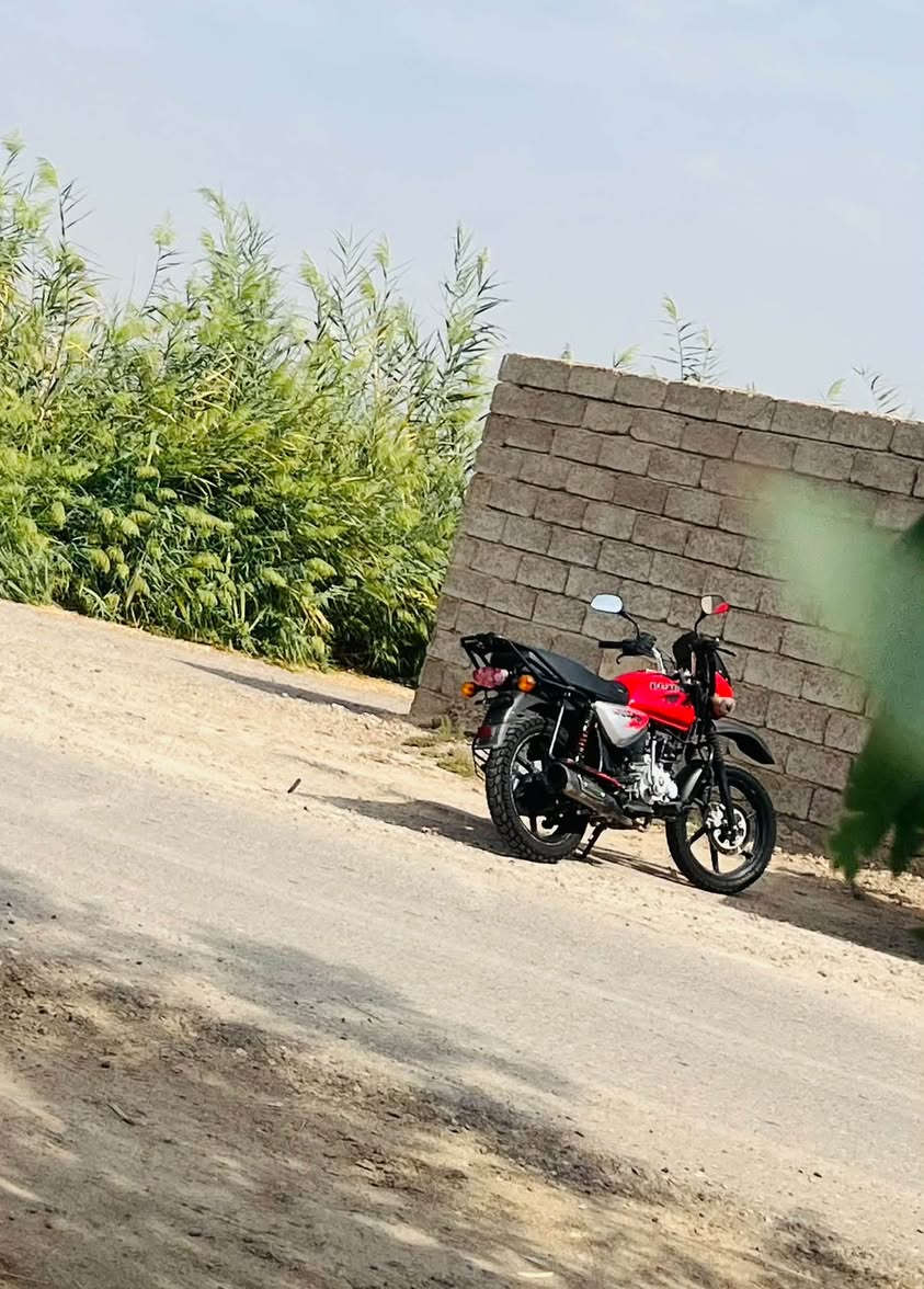 بوكسر • ٢٠٢٠ • دلفري