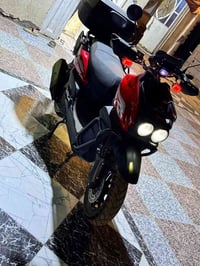 سكنس فحل • جبلي • كفالة عام