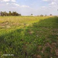 توجد ارض ارض ٥دوانم جنس الارض طابو زراعي سند ٢٥خدمات متوفره تصلح معامل...