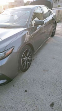 بغداد • طالع للشرگاط
