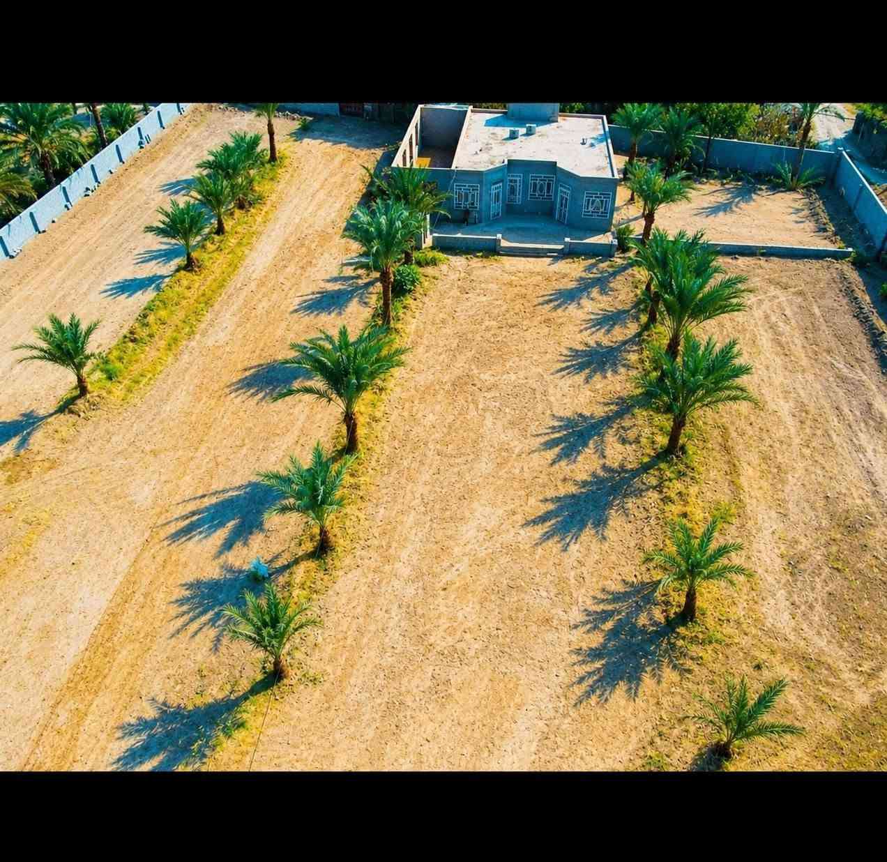 دونمين • بيت ٣٥٠م • الحولي