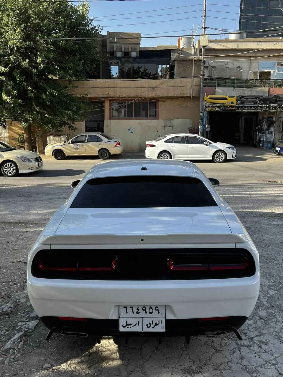 ٢٠١٩
sxt 
سعر ١٥٩
مكان سليماني 
***********
