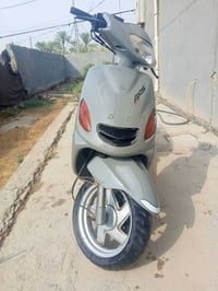 أكزز • ياباني • فحل