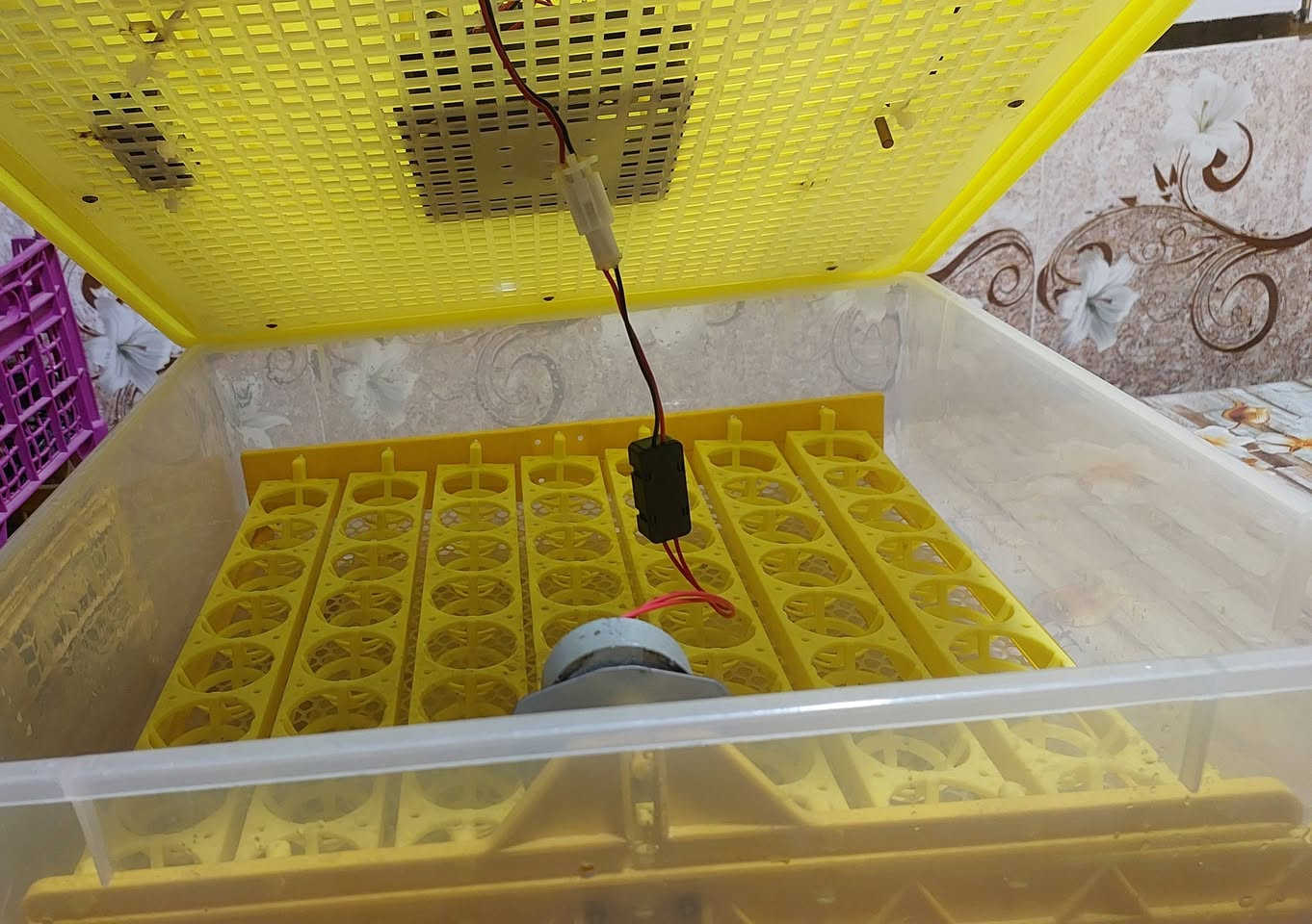 فقاسة بيض أوتوماتيكية ECG Incubator للبيع
فقاسة بيض أوتوماتيكية بحالة جيدة وشغالة بالكامل، جاهزة للاستخدام، بيها تحكم رقمي بالحرارة والرطوبة وتقليب أوتوماتيكي للبيض وعدّاد لأيام التفريخ، تعمل على 220V وبقدرة 80W الحالة مستعملة وشغالة بالكامل.

رقم واتساب /***********
سعر خاص على واتساب
