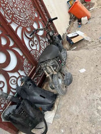 منغولي • خمس زروف • ١٥٠