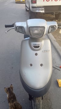 بطة • نظيفه • الشعب