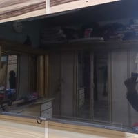 ٤٣ انش • نت • تلفزيون