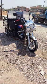 ستوته • تيوبلس • ٢٠٢٤