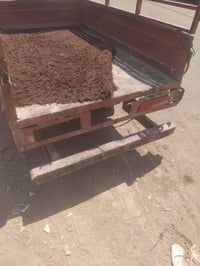ستوته • دايون • دوانيه