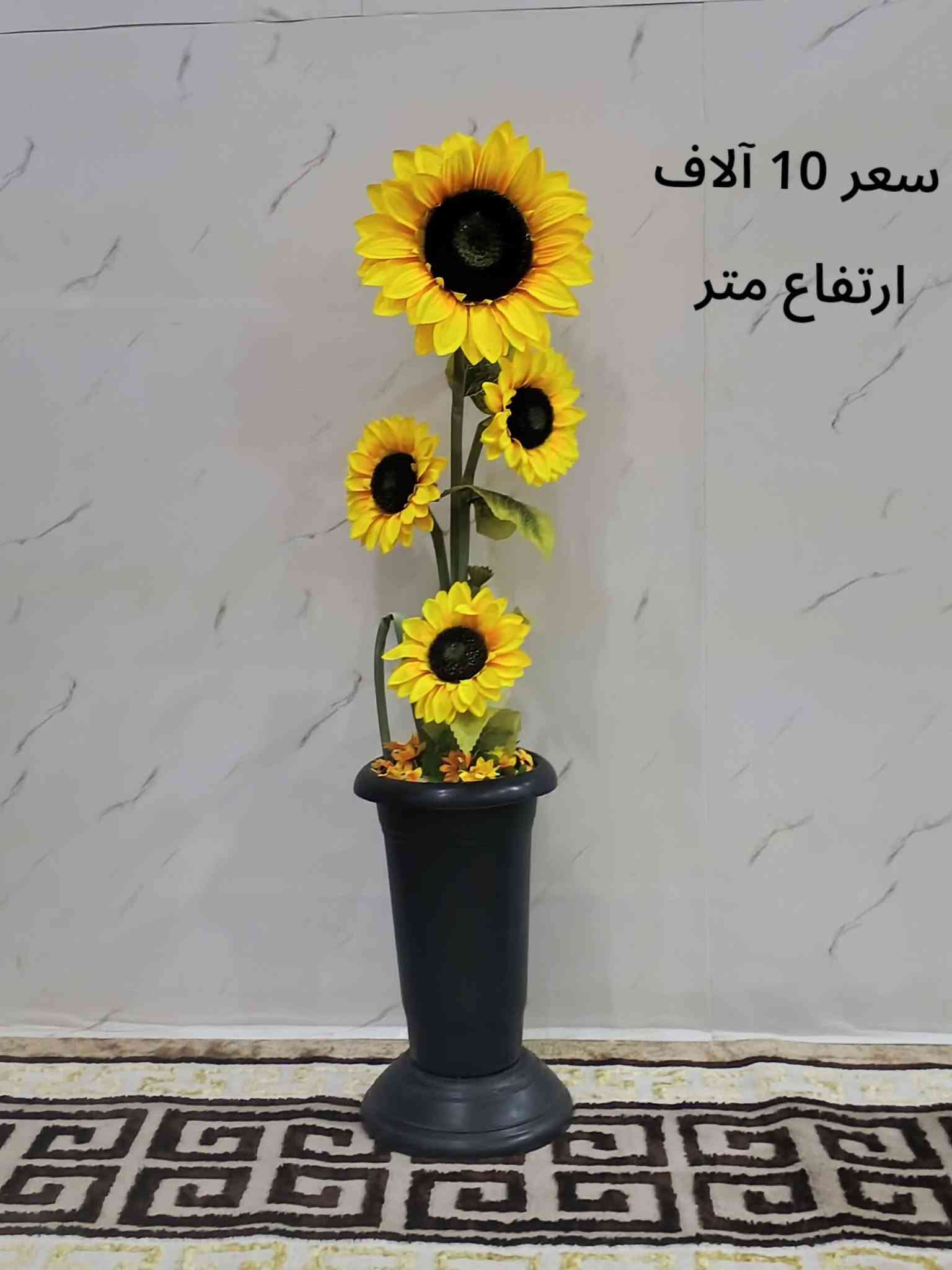 تخفيضات • توصيل العراق • خشب سنديان