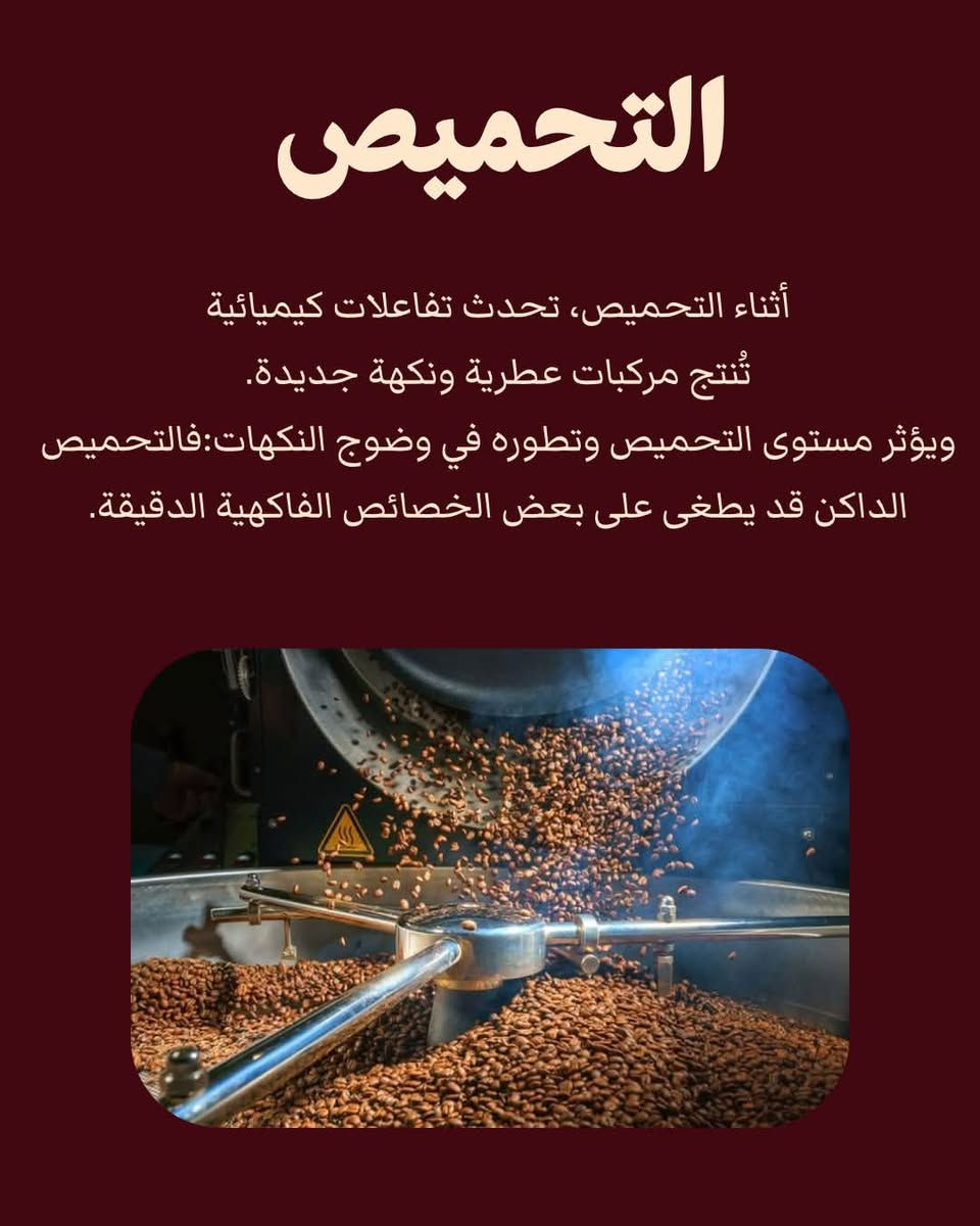 قهوة فاكهية • معالجة • التحميص