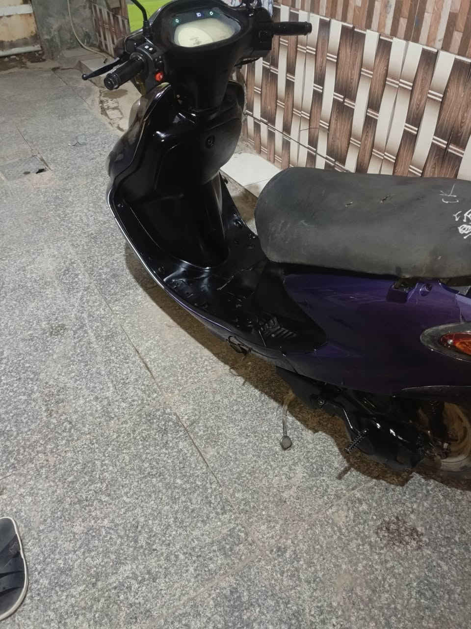 ذبانه دولفين
