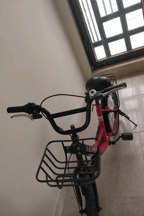 بايسكل • حلو • تايرات خربانة