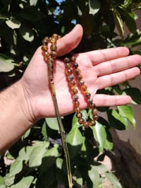 كهرب • طحلبي • شوائبي