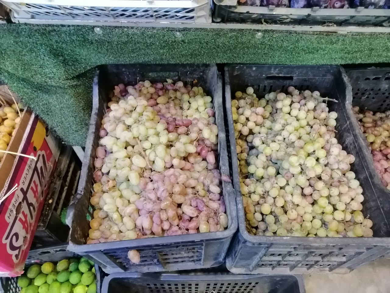 تشكيله جديده ماشاء الله تبارك الرحمن
فطر ٢٥٠٠ العلبه
خوخ ١٥٠٠ الكيلو
آلو ١٥٠٠ الكيلو
طماطه خشنه ٧٥٠ الكيلو
العنوان هيت جمعيه الثانية قرب أسواق الملاح توجد خدمه توصيل *********** داخل هيت
