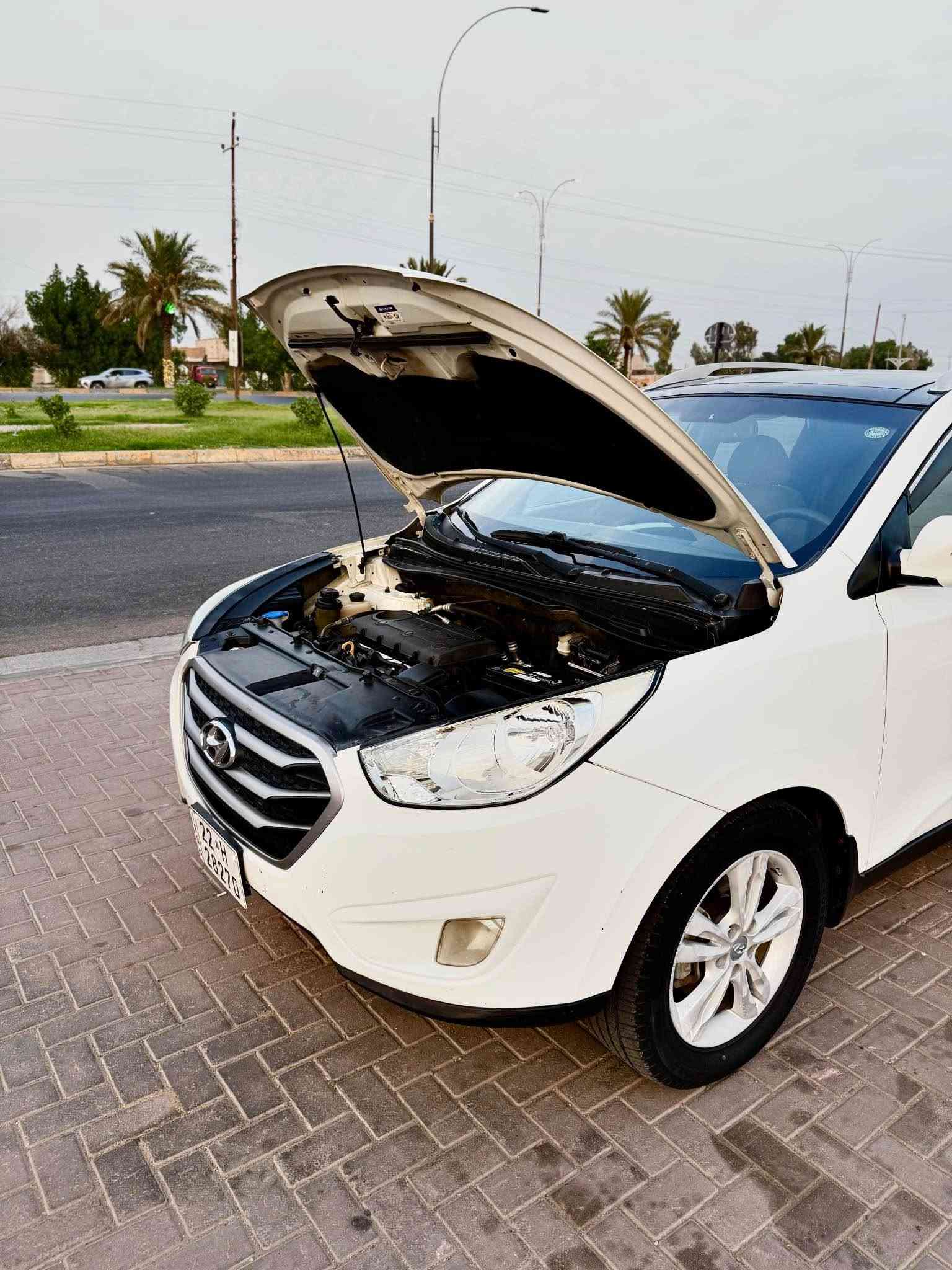 توسان • ٢٠١٢ • رقم اربيل