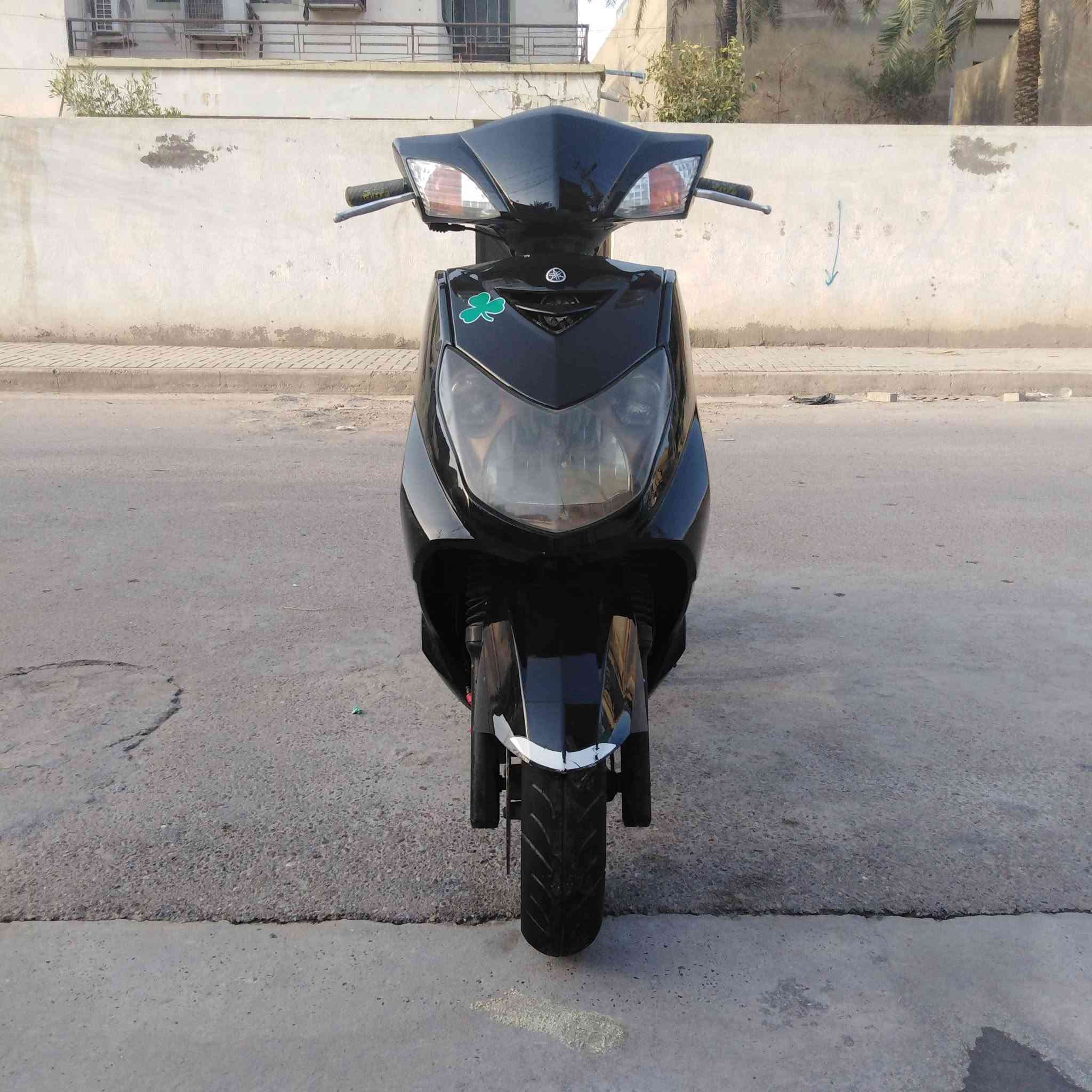 سكنس فحل • بلاديه • أوراق