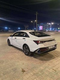 النتره • ٢٠٢٤ • رقم اربيل