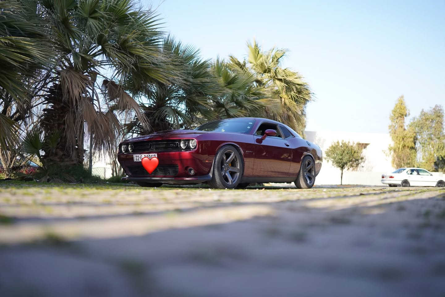 R/T V8 5.7
جالنجر ار تي 5.7 
موديل 2020 كلين تايتل 
سيارة صفر مسج 
ماشيه 52 فقط 
سياره على وضع الشركة ستوك 
دبات اسود 
كزوز بوابات بلادي 
وضعيات قياده 
شاشه جبيره 
شفتات ستيرن 
داخل احمر 
كشن كهرباء وحضن 
حساسات 
كامره دواره
ويل نجمه اصلي خفسه قويه 
كفر دركه RT وعندي SRT هم انطي وياها 
الشراي يتصل ويدلل 
***********
