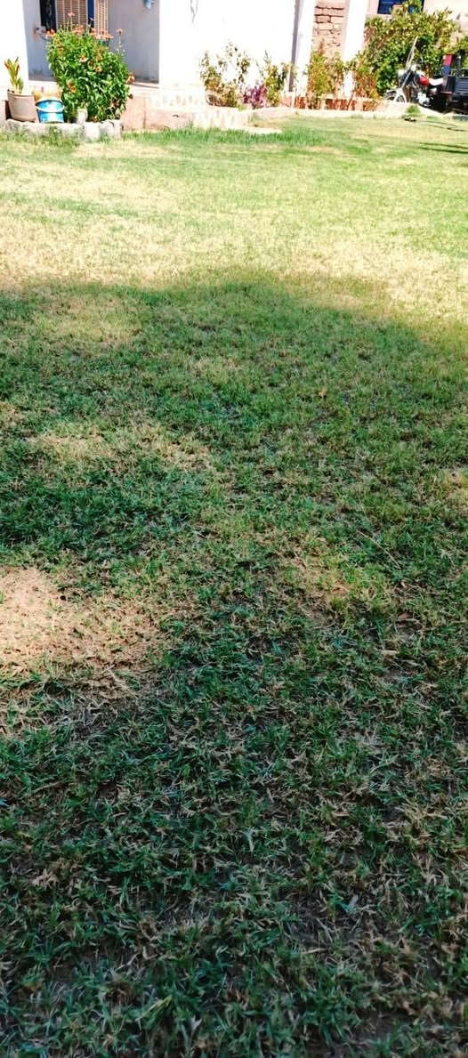 السلام عليكم 

يوجد مكينه ل اجمل قصات الحدايق و بانسب الاسعار 

ماعليك غير تتصل واجيك ل باب البيت 

ه‍ ***********

ه‍ ***********
