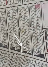 الزعفرانية • ٢٥٠م • ركن شارع ٢٠م