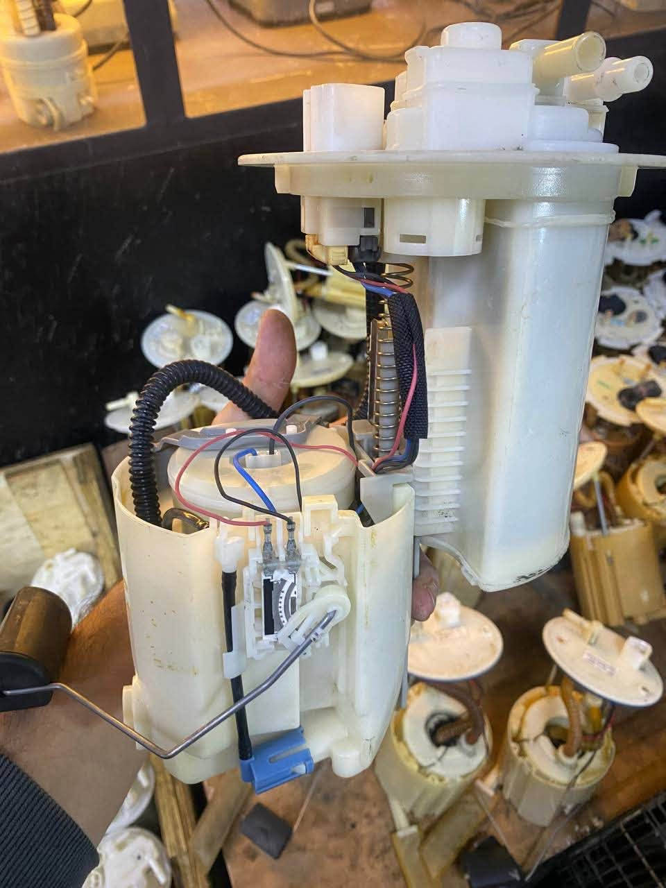 كورلا خليجي • بيع جملة • اقل كمية ٥