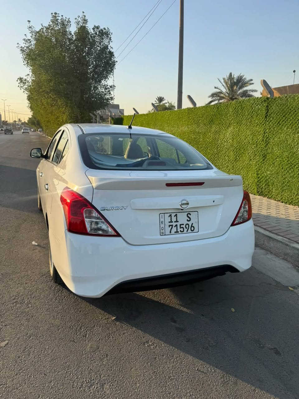 صني • بدون صبغ • ماشيه ٤٩٠٠٠