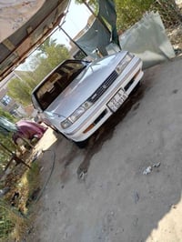 مارك مسطره • مكفولة • رقم انكليزي