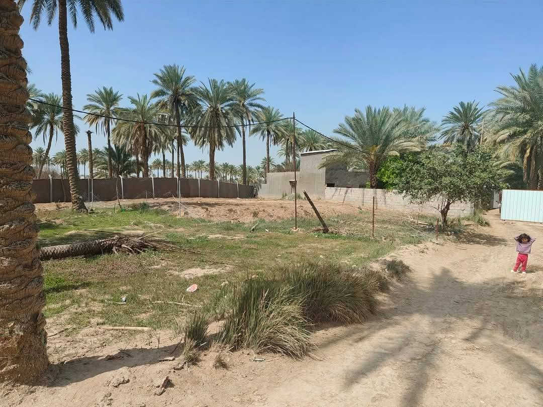 ٣ دونم • كربلاء طويريج • بيت جاهز منظومة شمسية