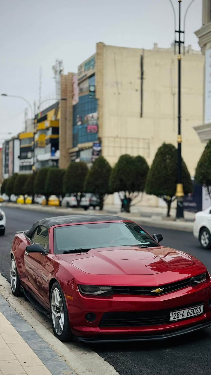 السلام عليكم كمارو 2015 للبيع او مراوس بسيارة 4 ابواب
كمارو 2015 3600 v6 للبيع او مراوس بسيارة 4 ابوات
حادثها جاملغ خلفي معدل بارد ومرشوش كلير فقط بدون معجون وبيها صبغ مأشر عليه بالصور باللون الازرك 🔵 بجم كبس
بجم زنون 
تبريد ثلج
ادامة لمنظومة الماء انسى شي اسمه حماوة
كير مكينة كلش حلوات
لحية امامية
دواسة جانبية
سبويلر
شاشة كبيرة
تحكم سترين كله شغال
كشن كهرباء كونترول اصلي كله جديد
كشف شغال بدون عطل
سيارة بدون اي جطل ولا كلوب بالدشبول مشتغل
اكزوز صوت يخبل 
دبات hp power ريمونت 
ماشية 94 الف
ويل حجم 20 
تشغيل عن بعد
حساسات خلفية

السعر 95$ وبيها مجال لليجي يشوفها بيع فقط (نقد)
رقم نجف مشروع وطني بأسمي السيارة تحويل بأي مكان يعجبك سونار وصور الحادث عندي راسلني خاص ادزهن
مكان السيارة (بغداد / المنصور)
للتواصل *********** اتصال
*********** فقط واتس الاسيا
