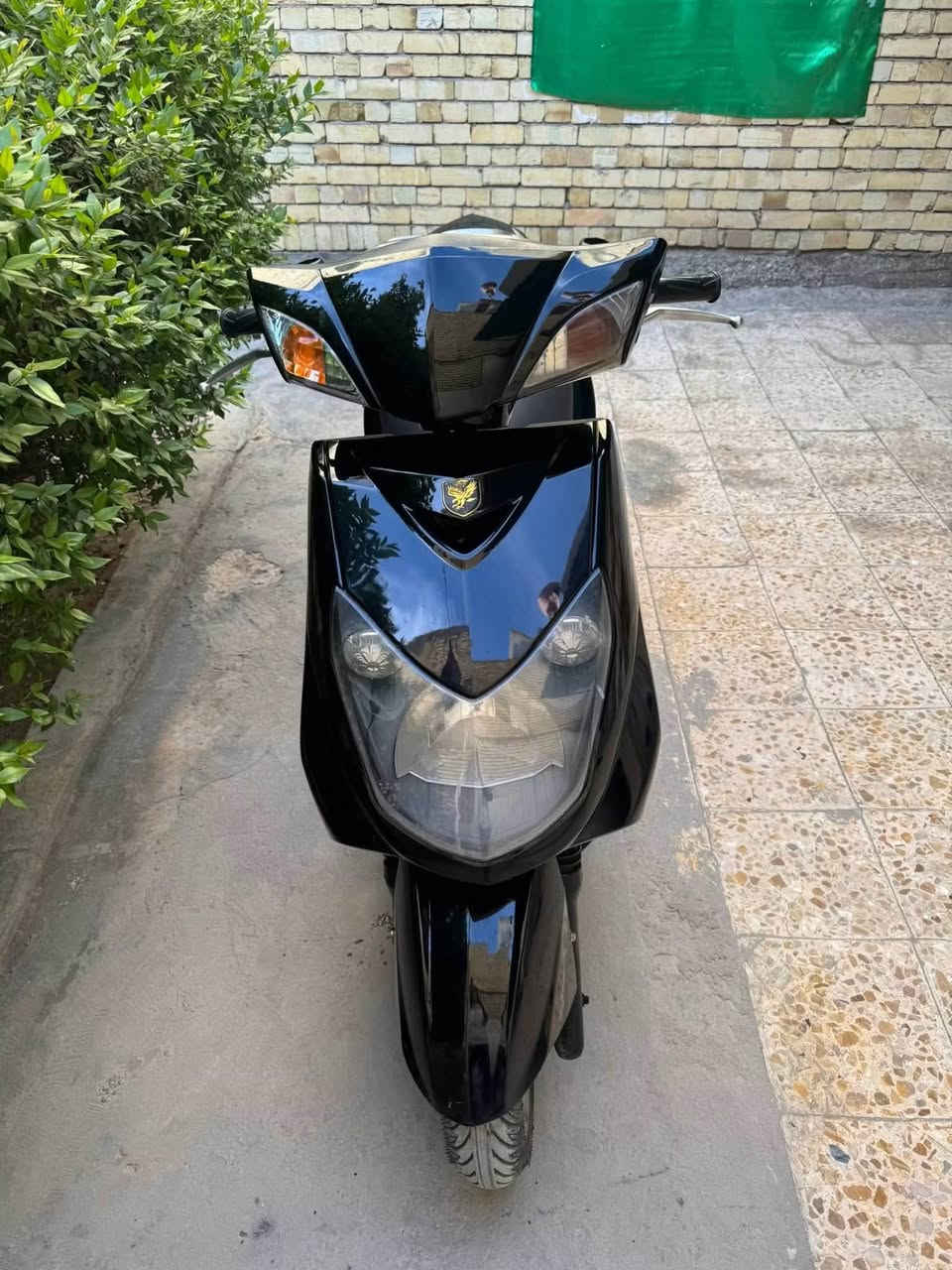 سلام عليكم سكنس فحل طلاعات كولدن للبيع درجه بلاديه كلشي مابيهه نقص مكان الامين الثانيه سعر ٨٥٠وبيع مجال بصيط نكره بكل وقت ***********
