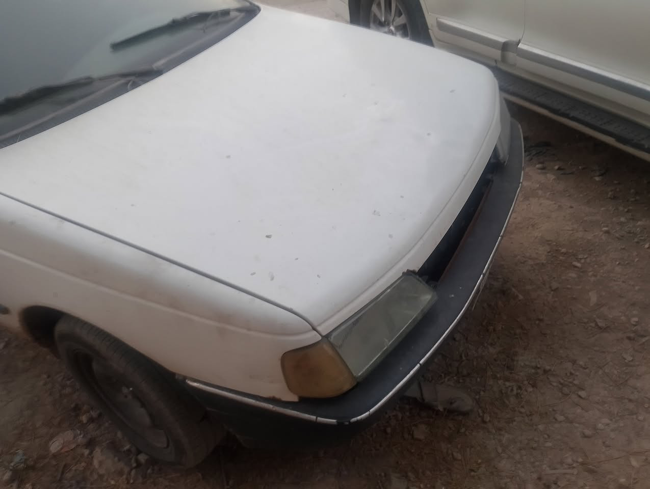 للبيع بيجو روئ رقم بغداد سياره مبدل صدر صار اسبوع وتايرات هم صار اسبوع سياره بيها نقوصات بسيطه سياره متروكه شويه لا مغسوله ولا شي مكان بغداد جسر ديالئ سعر 25 وبيها مجال سياره ما بيها ضربه رقم ***********
