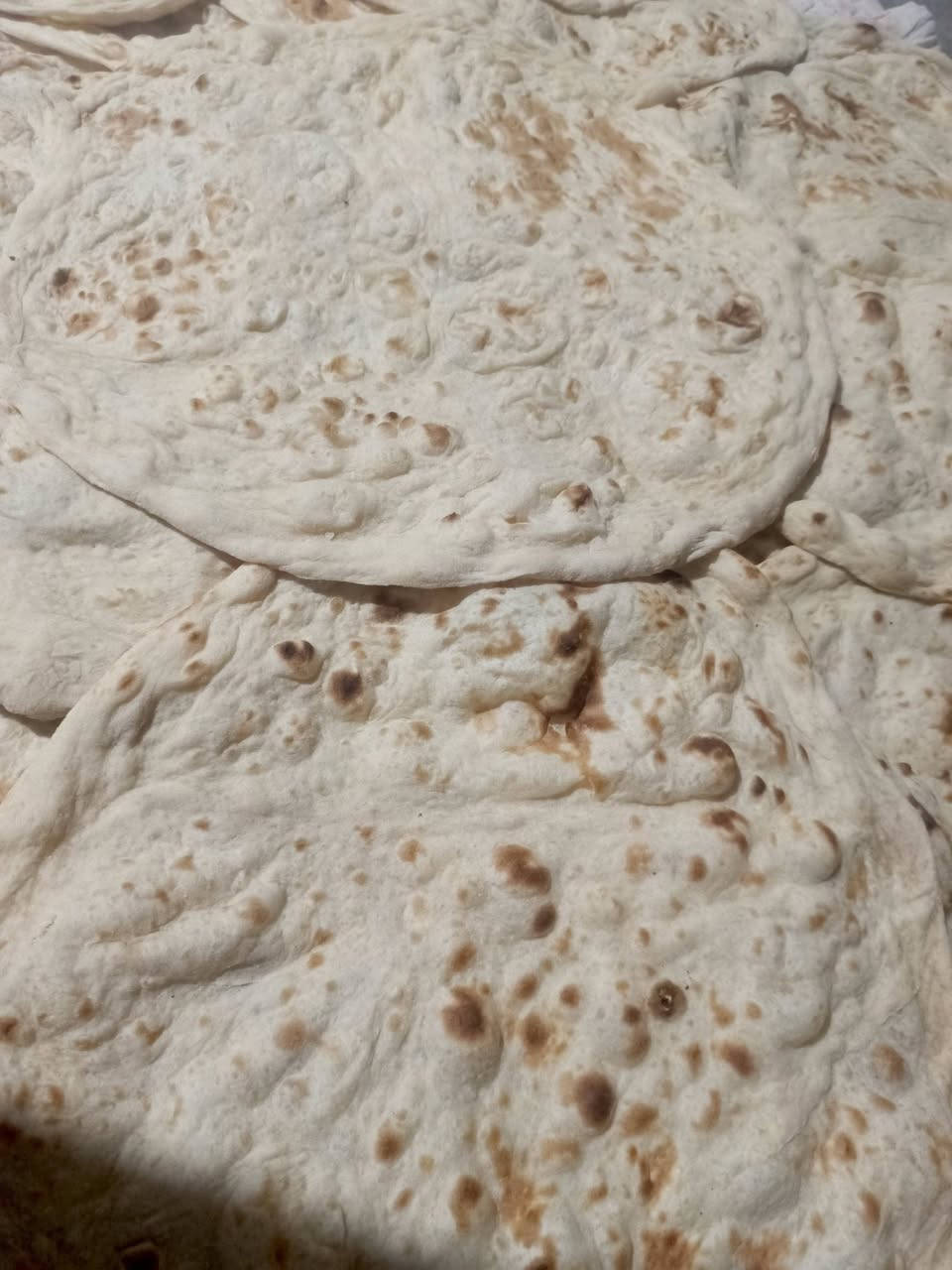 كبة دجاج • مني بيتزا • طرشي كيلو