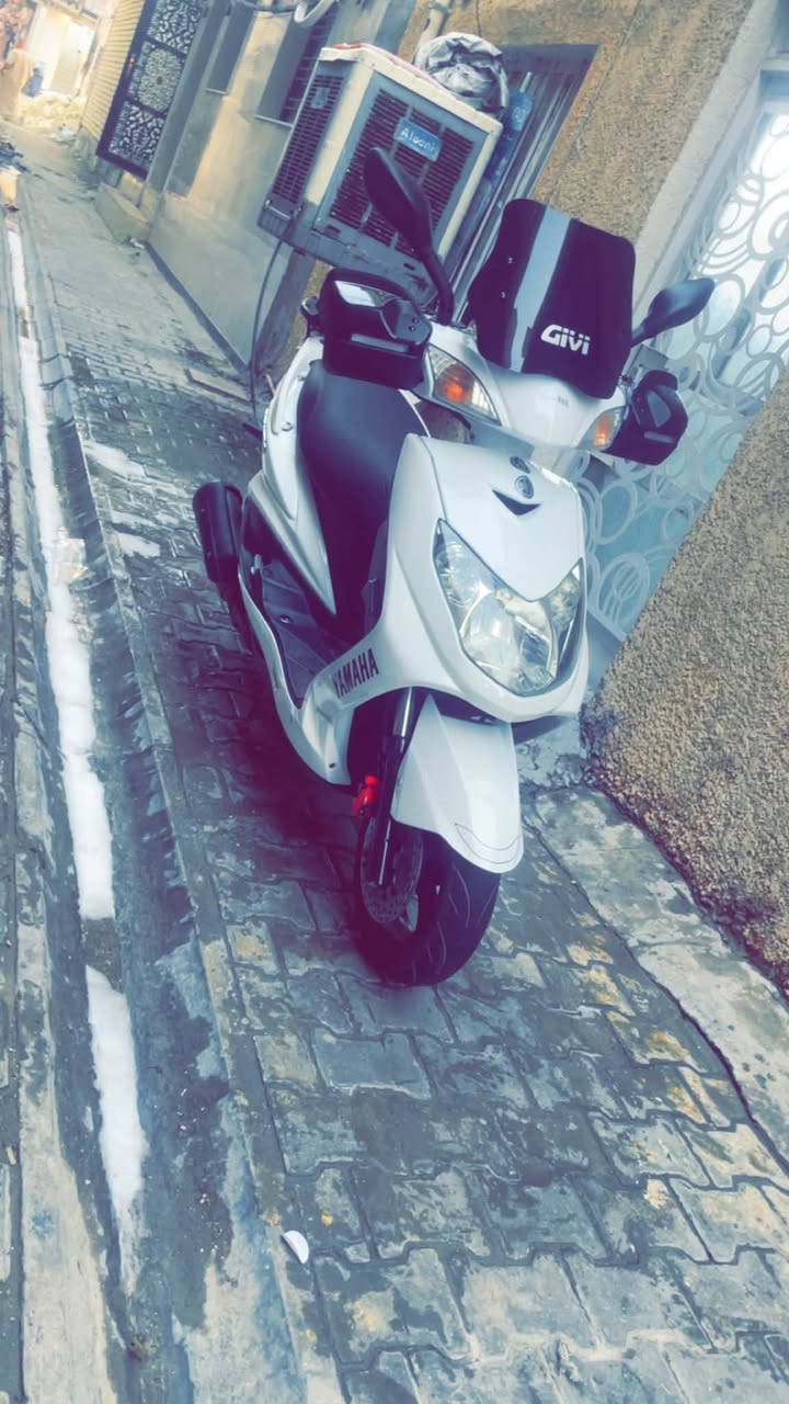 سلام عليكم اخواني الطيبين للبيع دراجه سكنس فحل نوزل ياباني مرقم بغداد مشروع وطني
@

قبق نفخ ستاند حساس طلاعات دراجه خير من الله شلعه ومعدل تخبل كهربائيات كله شغاله سلف هندر بيه منضومه زنون دراجه جديده اكثر متصور الله شاهد عليه معتني بيه اكثر من نفسي بانزين كله محسن اديرله دهن اصلي اجيبله بيه زوج تايرات جدد دبلات جديده طسته ناعمه دراجه نضيفه اكثر متصور وبأسمي الدراجه  بيه جهاز انذار الاصلي ابو رجاج تشغيل عن بعد مكينه خرسه ناعمه متسمعله صوت دراجه بالعافيه على ياخذه واصير من نصيبه لان نضيفه اكثر متصور   كله اكفلكياه كفاله عامه وتجي تاخذه من باب البيت وجيب وياك اي فيتر يعجبك واني بالخدمه 

رقمه بغداد تحويل ثاني يوم 

السعر 20$وبيه مجال للطيبين 

اخوان الي ميعجبه السعر يعبر المنشور والسوك كلشي بي اسف على الاطاله

مكاني ساحه اللقاء شارع مستشفى الطفل 

***********
