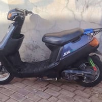 بوتين • معمر • نضيف