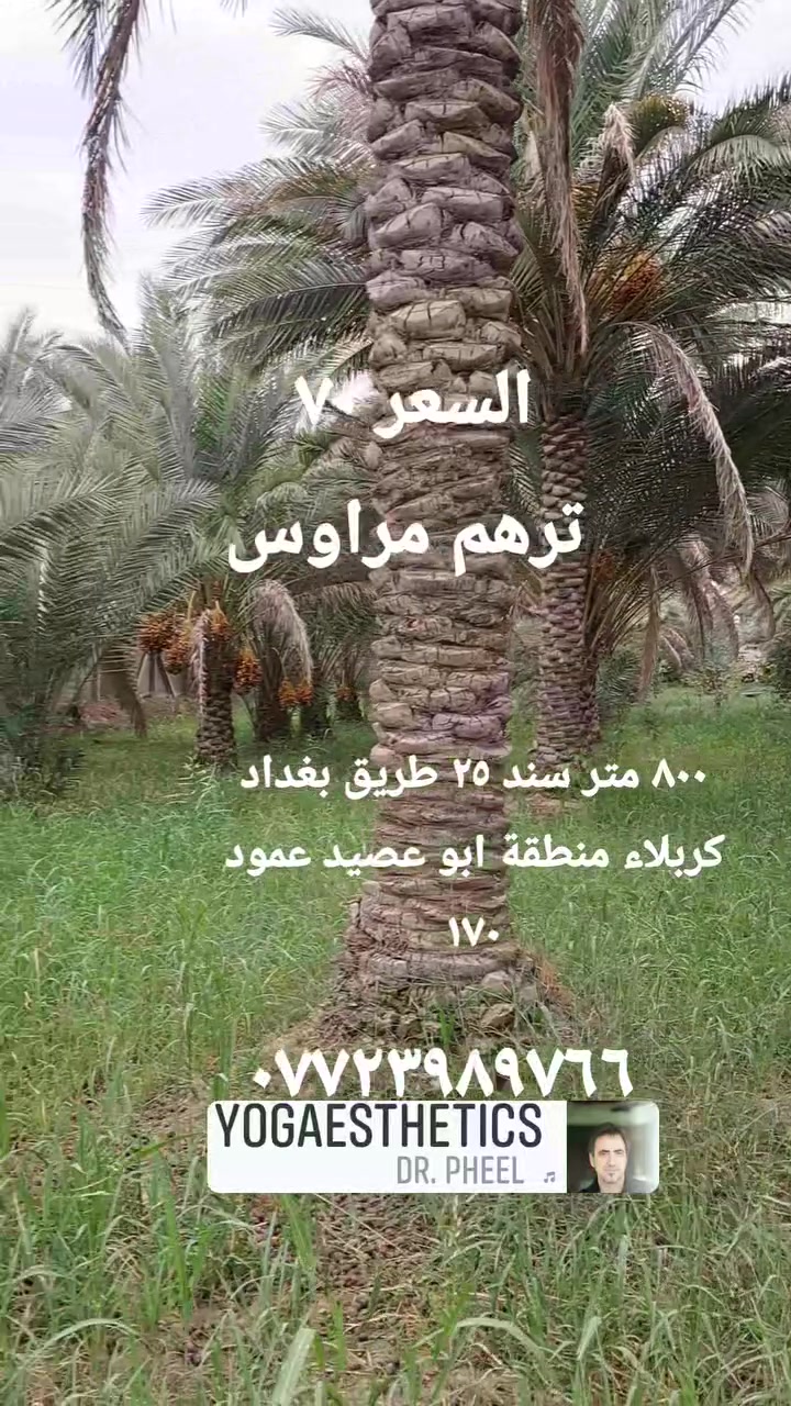 ٨٠٠م • طريق بغداد كربلاء • خدمات متوفرة