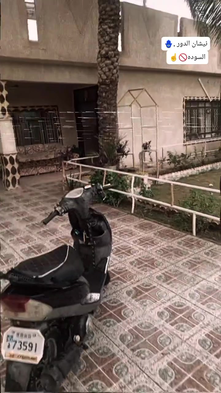 ماكس عدلة • مامفتوح • زنون