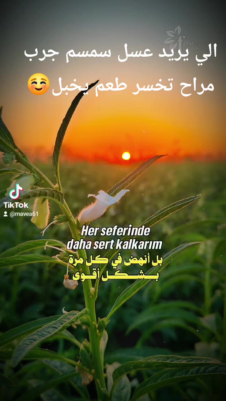 السلام عليكم
عسل طبيعي 🐝🍯
بكل قطرة خير وصحة
١٠٠٪طبيعي _غير مضاف من خيرات الطبيعة
عسل نقي يجمع بين الطعم الأصيل والجودة العالية يمنحك فوائد الطبيعة في كل يوم
يتوفر العسل بأحجام مختلفة واسعار تنافسية ومختلفة
الكبير 🍯 الوزن كيلو ب٣٠ الف
الوسط 🍯 الوزن نصف كيلو ١٥ الف
الصغير 🍯 الوزن ربع كيلو ٧ الالف
🐝 منتج محلي جودة عالية وتثق بيها
لطلب والاستفسار الاتصال ع الرقم ***********
