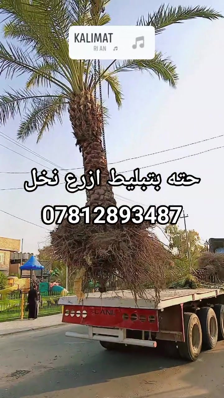 مشتل الوادي الاخظر ***********
