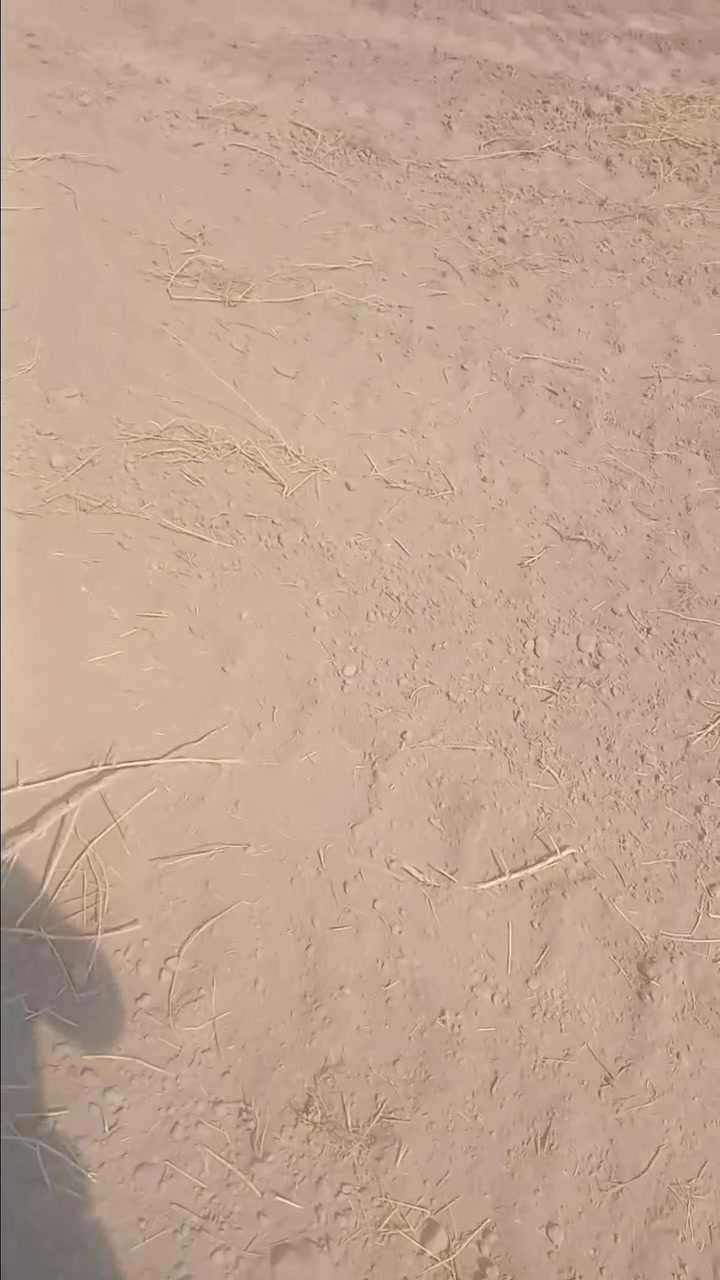 ٥دوانم واقع حال ٥ونص طابو زراعي سند ٢٥بالصويره منطقة الرحمانيه تحويل مباشر تبعد عن الشط والمدرسة كيلوين و٢٠٠متر  وعن التبليط ٢٠٠٠متر  تسقي بواسطة بير ارتوازي ارض خصبه تصلح لجميع المحاصيل سعر الدونم الواحد ٦ملايين وبيها مجال للاستفسار أكثر الأتصال على الرقم ***********او واتساب
