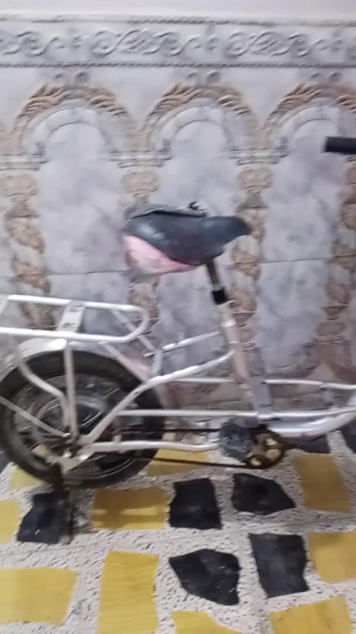الناصرية ذي قار • دراجة