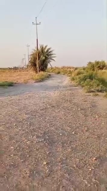 🌿 للبيع قطعة أرض زراعية – فرصة مميزة 🌿

📍 الموقع: واسط – ناحية الحفرية – منطقة شويفي، نزلة مقابل شركة التاج.

🔹 المساحة: 3 دونم🔹 السند: طابو 25🔹 الخدمات: ماء، كهرباء، وحصة ماء سقي.🔹 تبعد عن الشارع العام (بغداد – الكوت) حوالي 1 كم.🔹 الطريق نصفه مبلط ونصفه سبيس
#معروض سعر الدونم 28 مليون وقابل للعمله

#للاستفسار ☎️
‏‪***********‬‏ #ابو شمر
*********** #ابو عسل الخفاجي اثير
*********** #ابو عسل الخفاجي اسيا
#او مراجعه مكتب واحد عقار
#عنوان/#المكتب 
#شارع المحكمه #مقابيل #دائره الطابو #ومديريه الدفاع المدني 

اهلا وسهلا🌺
