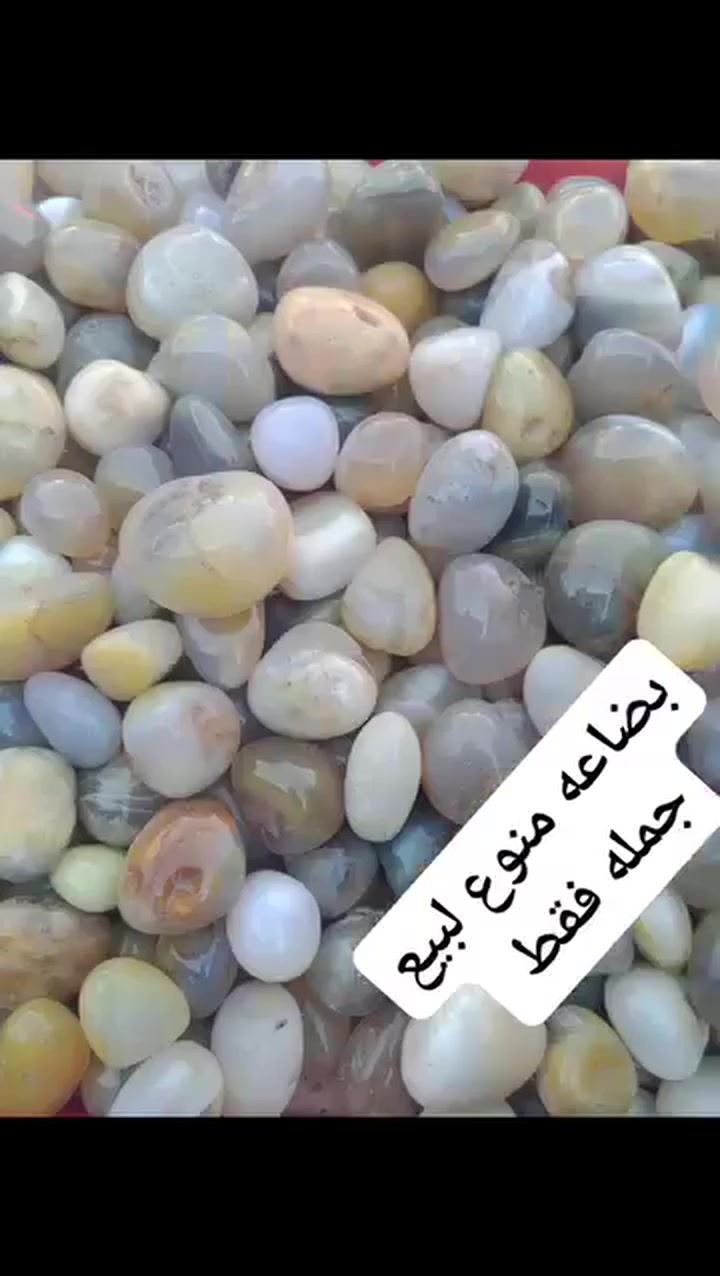 اكسسوارات شخصية • بدون تفاصيل