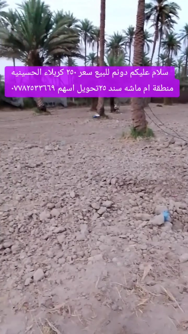 كربلاء الحسينيه • ام ماشه • مساحة ١