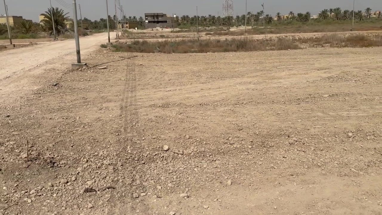 قطع زراعي • البطاط • مقطع فيديو