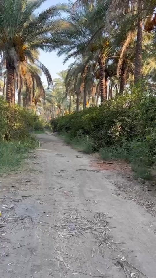 ياالله

للبيع 4000متر في بغداد الراشدية

جنس العقاري سند ملك صرف تتحوال بإسم المشتري يتوفر فيه جميع الخدمات ماء اساله وماء روئي وكهرباء ويوجد فيه نخيل وحمضيات للأستفسار اتصل على رقم او مراسلة ***********
