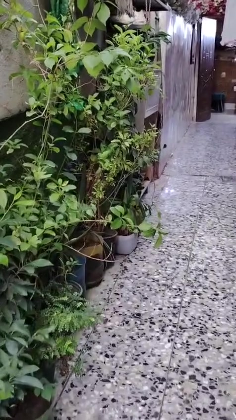 نصف قطعه خلفيه اللبيع في قطاع ٣٩  
 لاتصال على هاذ الرقم ***********
