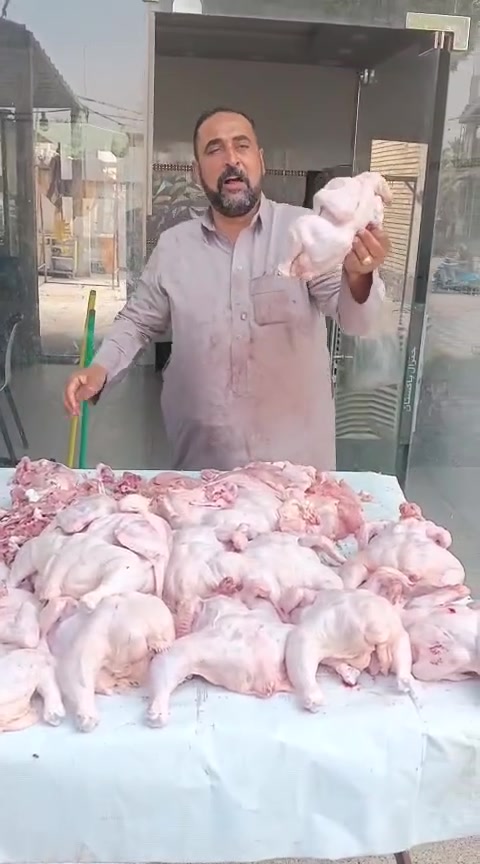لحم عجل عراقي • المسيب حي المعلمين • مطعم الماجد