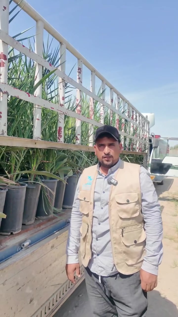 بسم الله وعلى بركة الله 🌴
بتاريخ اليوم 30/9/2026، وكما عوّدناكم، مستمرين بتجهيز زباينّا الأعزاء من أصحاب المشاتل والمستثمرين بكل محافظات العراق 🌱
 تگدر تزورنا على موقعنا الثاني ناصرية طريق الحولي الجديد شركة ابداع الناصر للتجارة العامة للأستفسار ***********🤍📲
